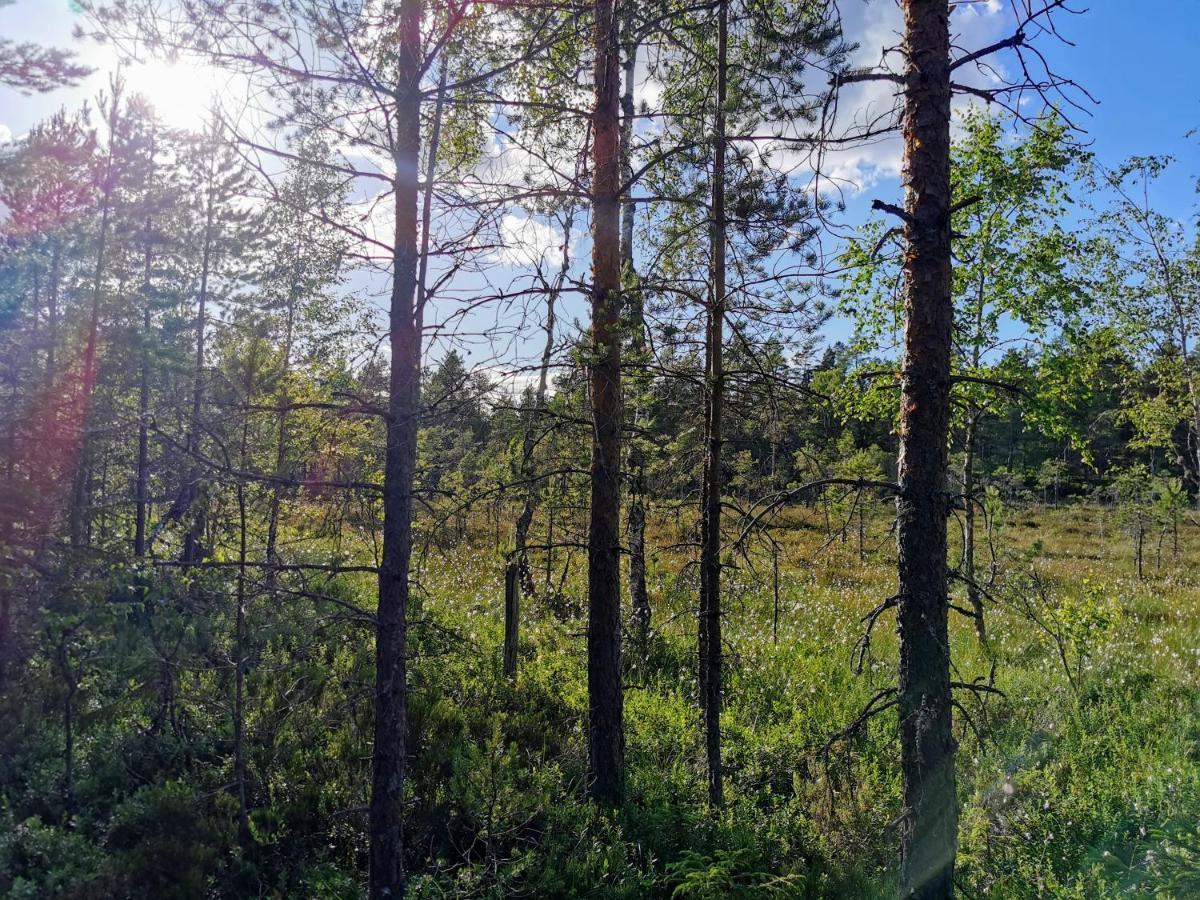 Stuga Solbacken Naera Radasjoen Villa Buitenkant foto