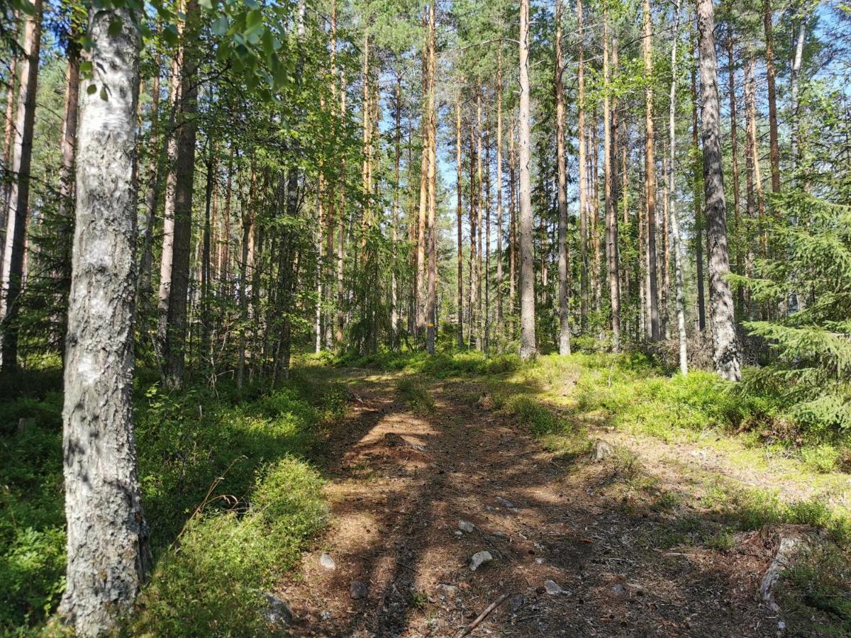 Stuga Solbacken Naera Radasjoen Villa Buitenkant foto